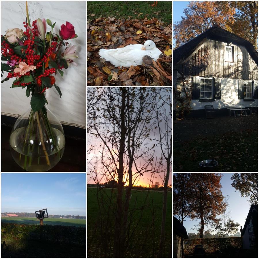 Grenier'S Bed & Breakfast Punthorst ภายนอก รูปภาพ